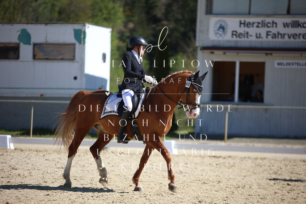 IMGT1618 | pl-fotografie