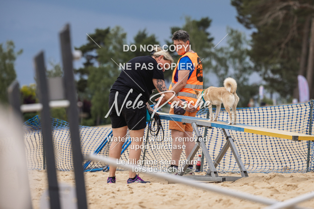 nelerasche_BuHu2026_So1330-1430_121 | nelerasche