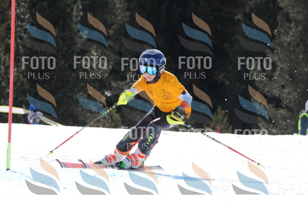 C9037 | holidayphoto