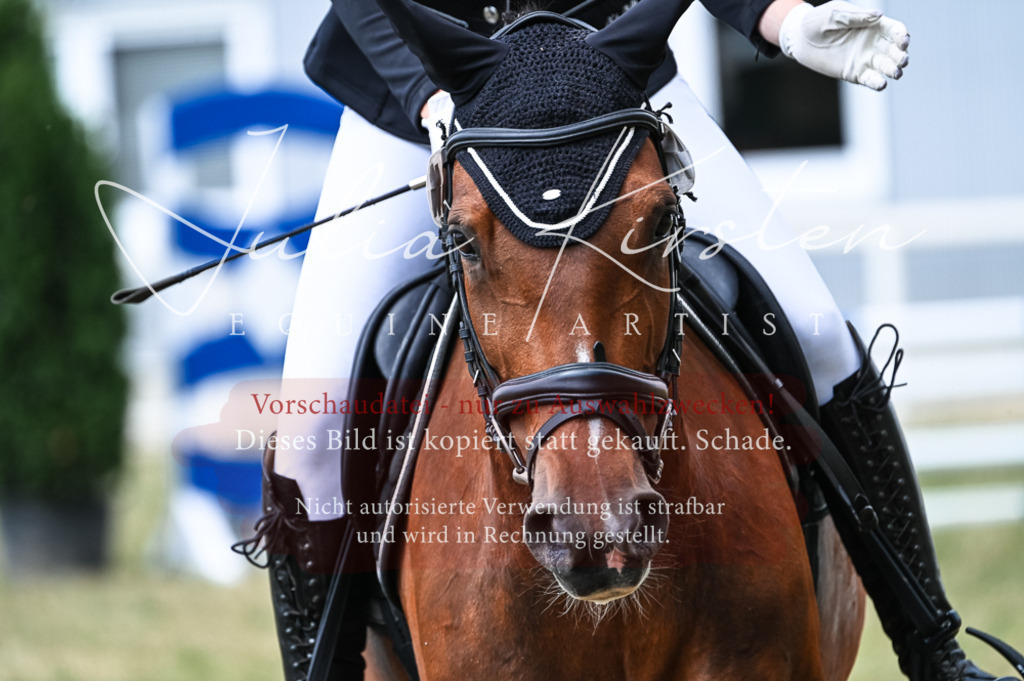 DSC_9030 | Pferde- und Turnierfotografie in Westsachsen. Pferdeportraits, Auftragszeichnungen und intuitive Kunst.