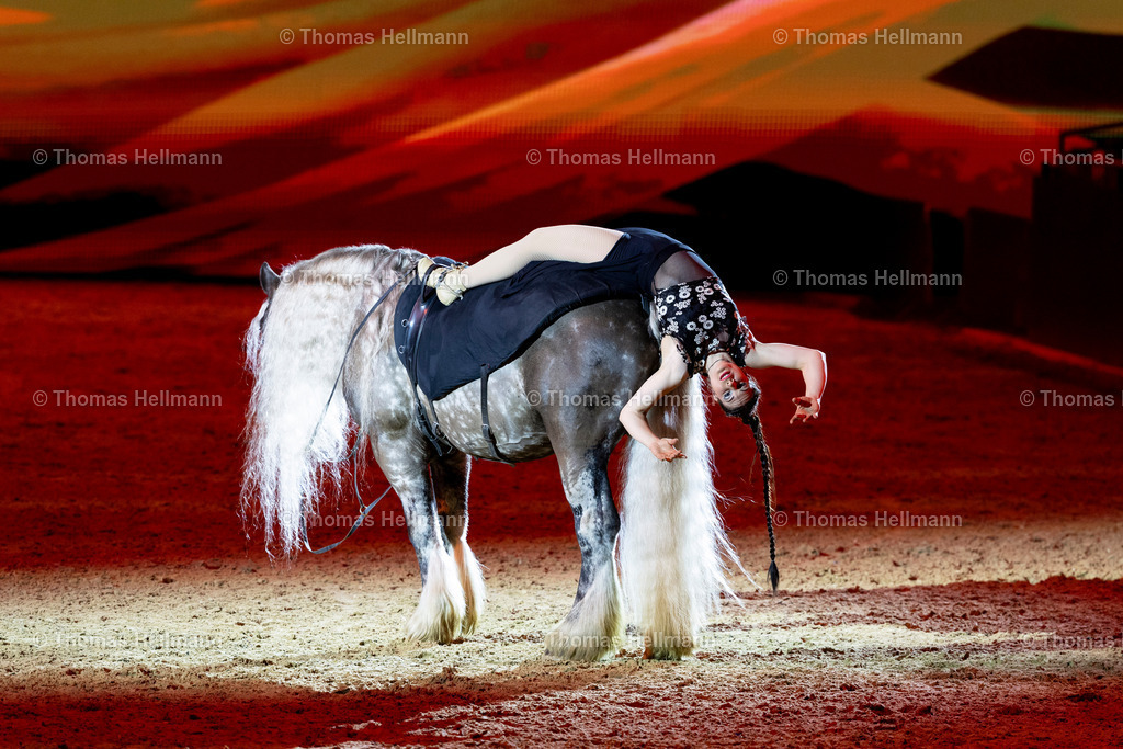 TH_Hop Top Show_26758 | EQUITANA 2025 am 07.03.25 in Essen