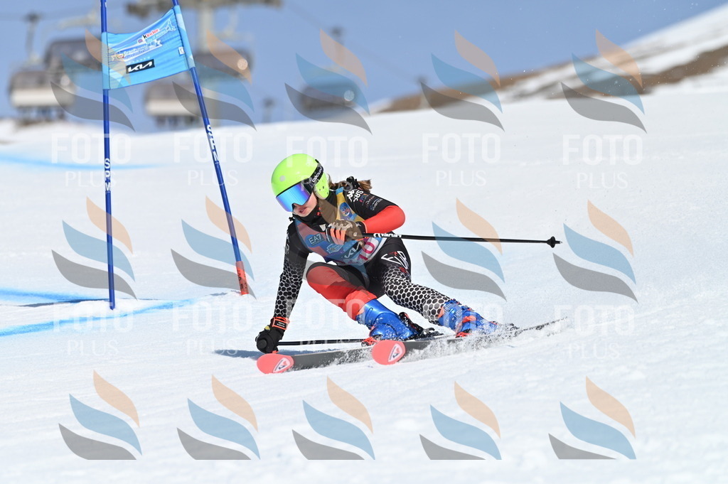 BGV_9647 | holidayphoto