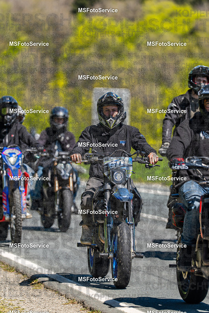 MSFotoServiceXXX424 | MSFotoService - Realisiert mit Pictrs.com