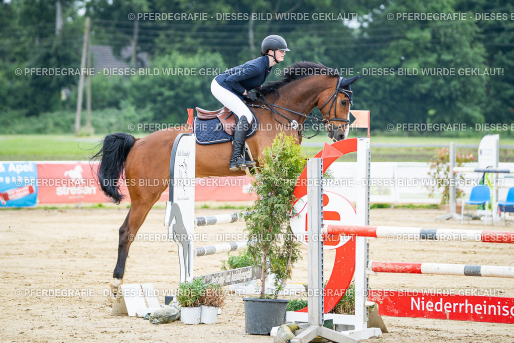 DSC03438 | Pferdegrafie