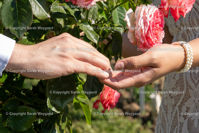 SWY01818 | Sari Weygand Fotoshop - Realisiert mit Pictrs.com