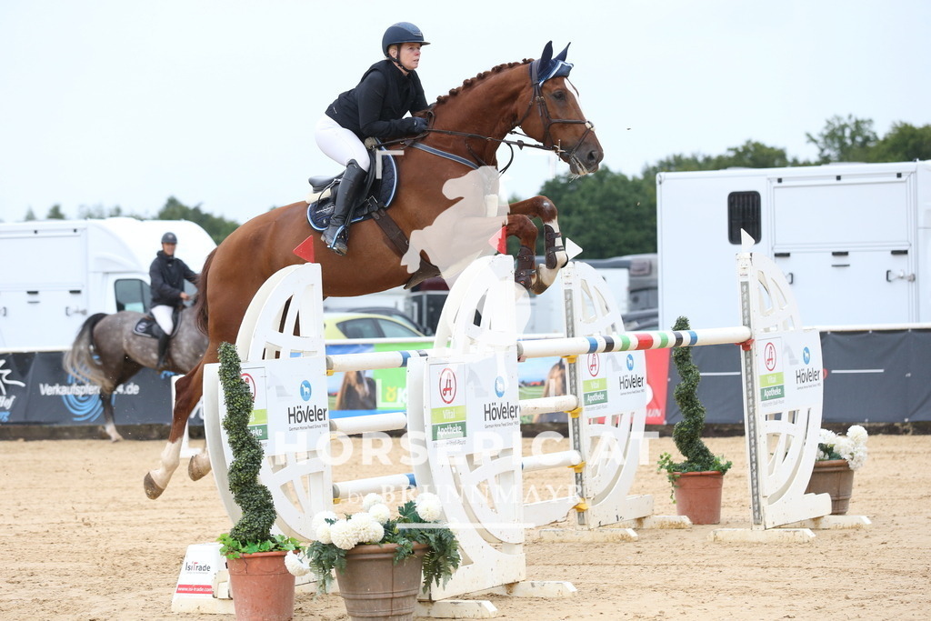DL2Q6483 | Willkommen bei Brunnmayr - Design & Fotografie – Ihrem Spezialisten für Reitturniere und Pferdeveranstaltungen in Oberösterreich, Salzburg und Bayern! Seit über 17 Jahren sind wir leidenschaftlich dabei.
