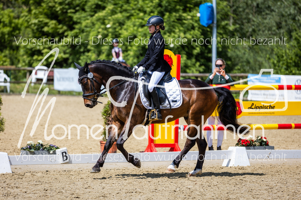 Donop24-RWB-011 | MomenTaufnahmen Pferdesportfotos