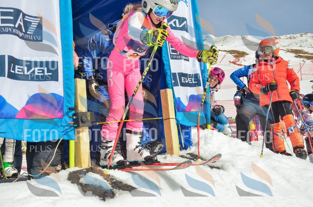 _ELE4784 | holidayphoto