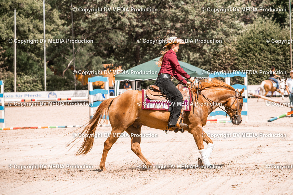 ZS3_0027 | dv-media-shop - Realisiert mit Pictrs.com