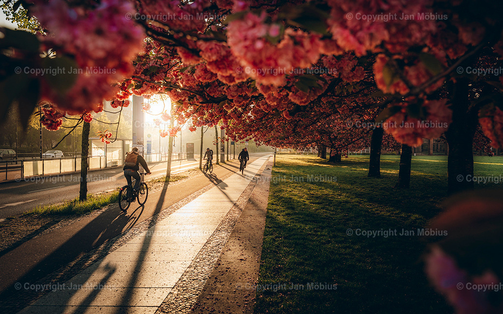 _DSC1768 | Leipzig Wandbilder Drucke Prints Leinwand Stadtmotive Leipzig Fotosdruck Kunstdrucke Bilder Leipzig Stadtansichten Acrylglasbilder Leipzig Wanddeko Fine Art Prints Wandbilder Büro Leipzig Bilder Praxis Zuhause Bilderdruck Poster Posterlounge Kunstdrucke - Realisiert mit Pictrs.com