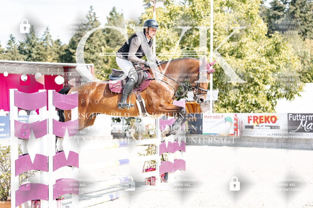 CK908657 | Turnierfotografie Pferdefotografie Trier Rheinland-Pfalz Pferdesport Reitsport Tierfotografie Sportfotografie Pferdevideo Pferdevideografie Equestrianvideography equestrianphotography  - Realisiert mit Pictrs.com