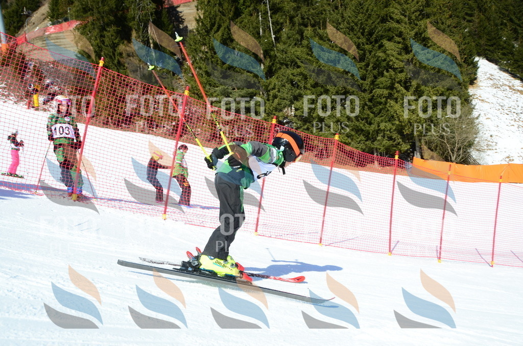 C5656 | holidayphoto