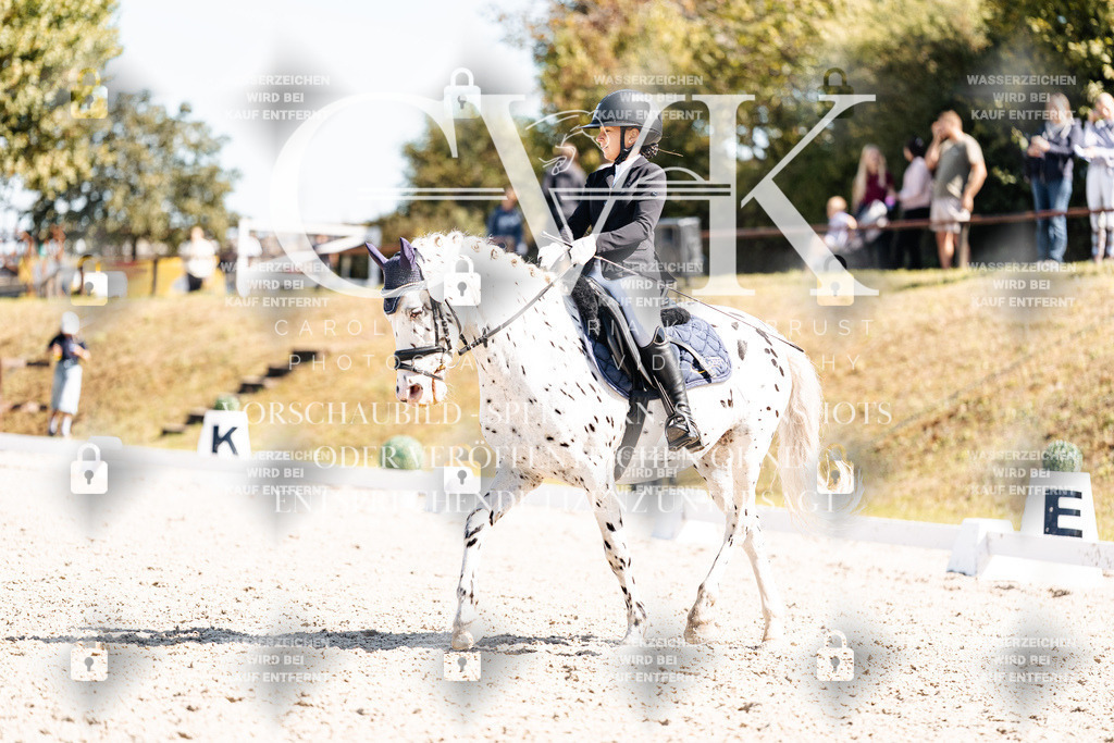 CK904178 | Turnierfotografie Pferdefotografie Trier Rheinland-Pfalz Pferdesport Reitsport Tierfotografie Sportfotografie Pferdevideo Pferdevideografie Equestrianvideography equestrianphotography  - Realisiert mit Pictrs.com