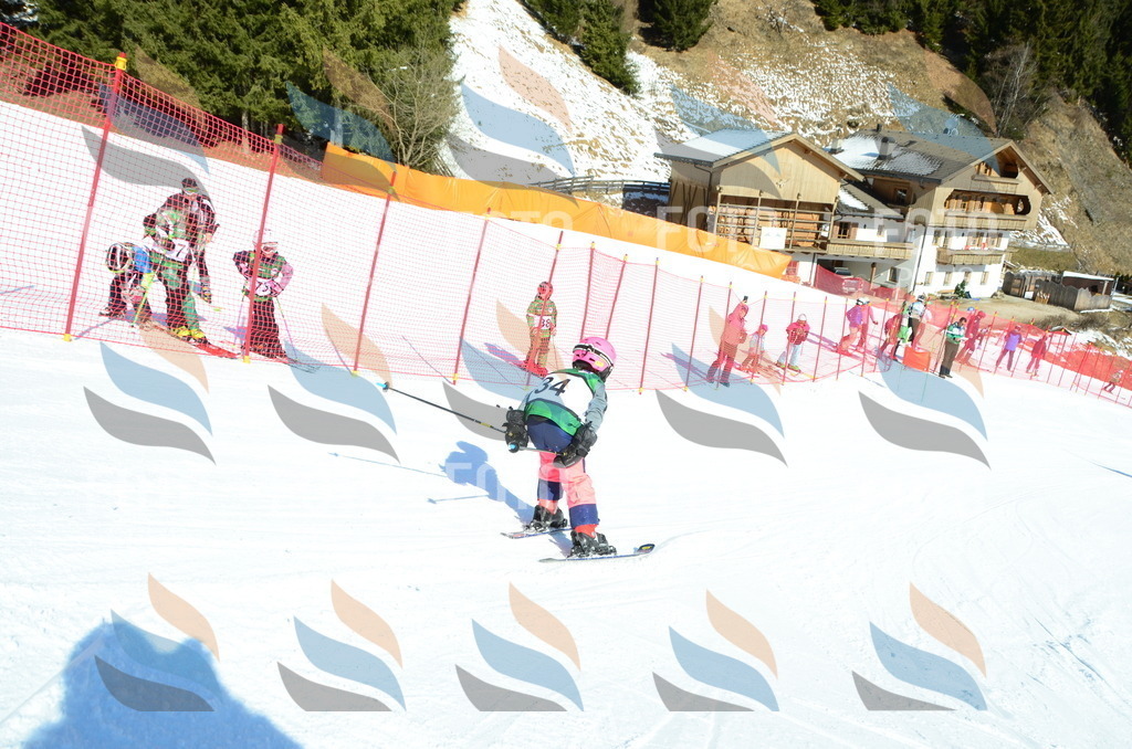 C4954 | holidayphoto