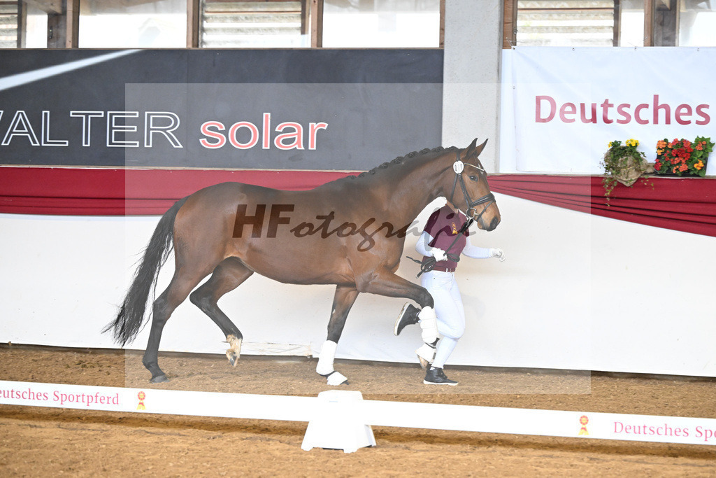 Kat-Nr. 10 Tessa tanzt v. Toto Jr_5 | hf-fotografie - Realizzato con Pictrs.com