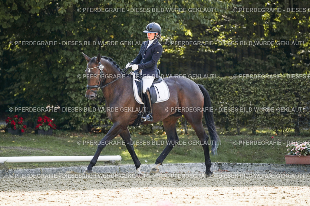 DSC06809 | Pferdegrafie