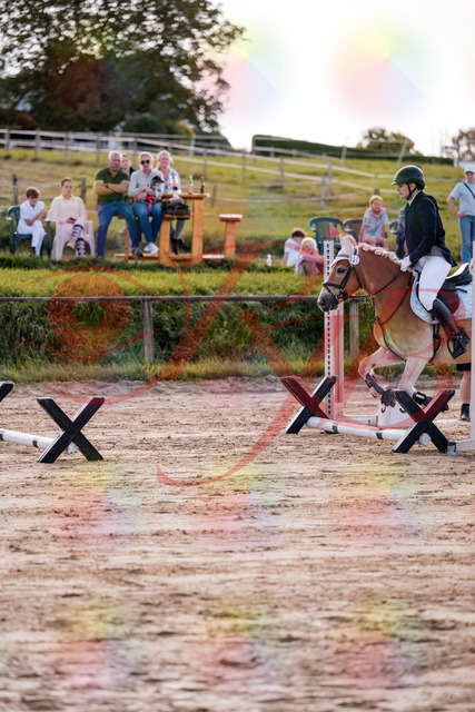 2026_10_03_Siefer-Hof_145456_Z81_35155592 | Professionelle Reitsport-, Turnier- und Eventfotografie von Robert Broda. Galerien mit ausgewählten und bearbeiteten Bildern direkt online ansehen und bestellen.