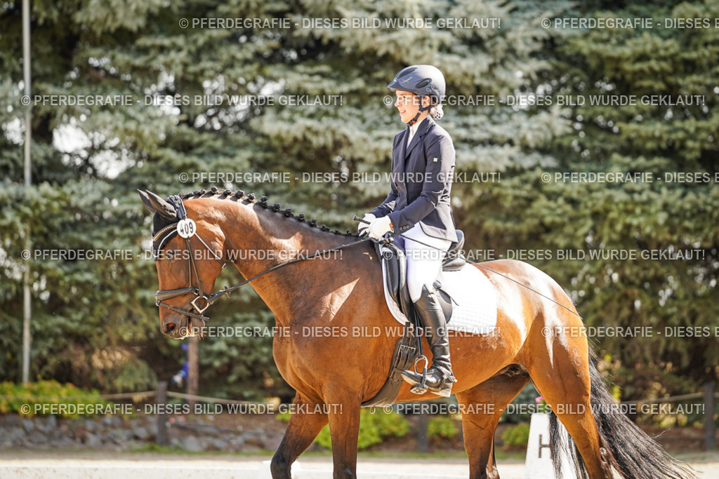 DSC00847 | Pferdegrafie