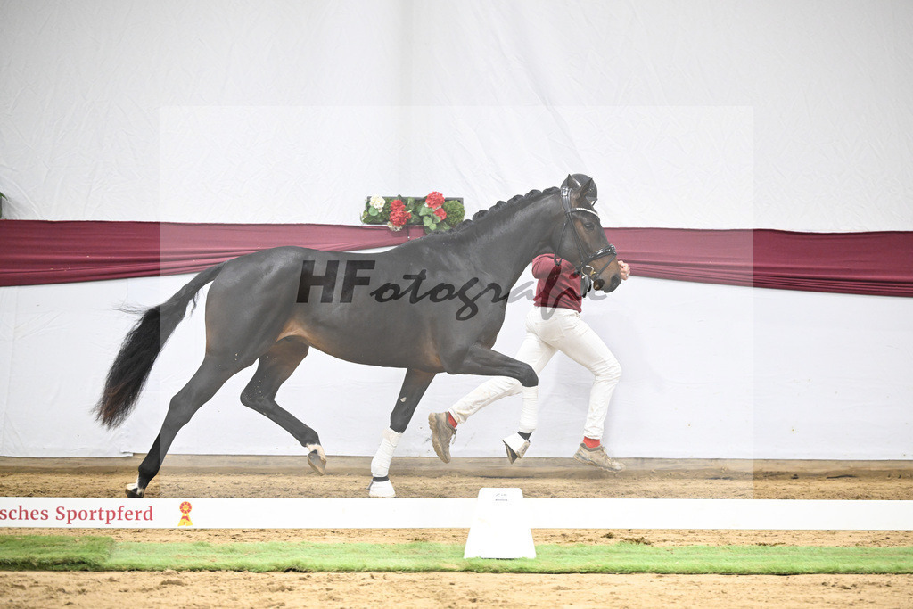 Kat-Nr. 46 Zenetti x Ritz Carlton_Udo Kast_47251611 | hf-fotografie - Realisiert mit Pictrs.com