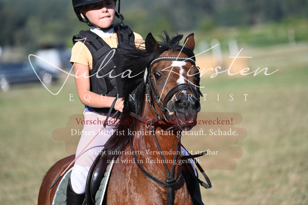 DSC_8974 | Pferde- und Turnierfotografie in Westsachsen. Pferdeportraits, Auftragszeichnungen und intuitive Kunst.