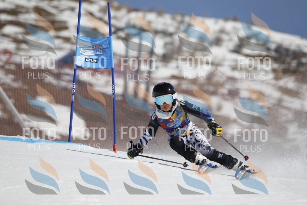 _U3G9167 | holidayphoto