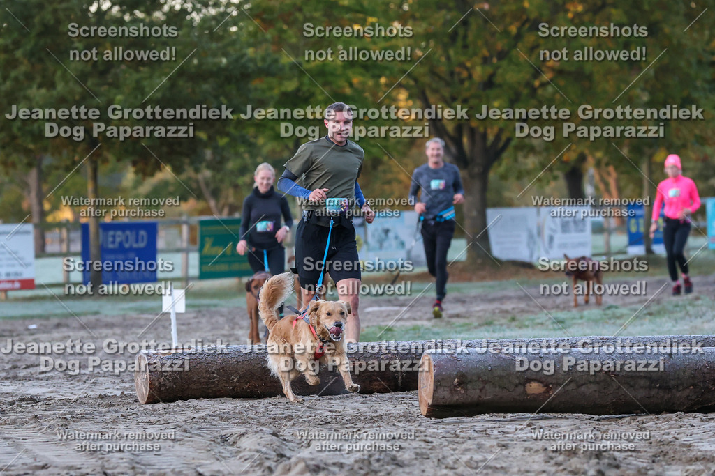 Dog Paparazzi - Strongdog 10-25-154 | Dog Paparazzi Jeanette Grottendiek Fotografie & Videografie - Realisiert mit Pictrs.com