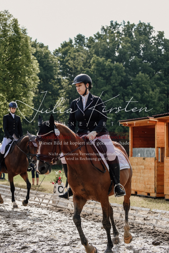 DSC_9010 | Pferde- und Turnierfotografie in Westsachsen. Pferdeportraits, Auftragszeichnungen und intuitive Kunst.