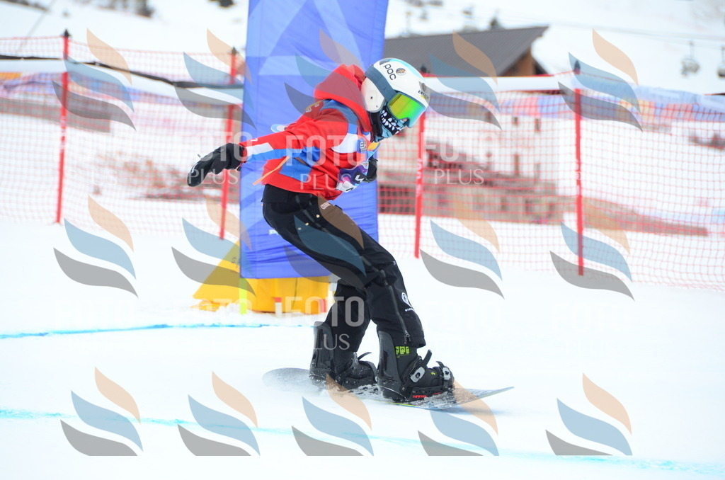 DSC_2262 | holidayphoto