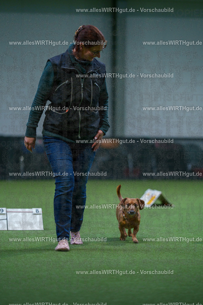 7R501893 | Professionelle Tierfotografie in Mönchengladbach von Daniel Wirth (allesWIRTHgut). Liebevolle & natürliche Bilder von Hunden & Katzen für unvergessliche Erinnerungen.