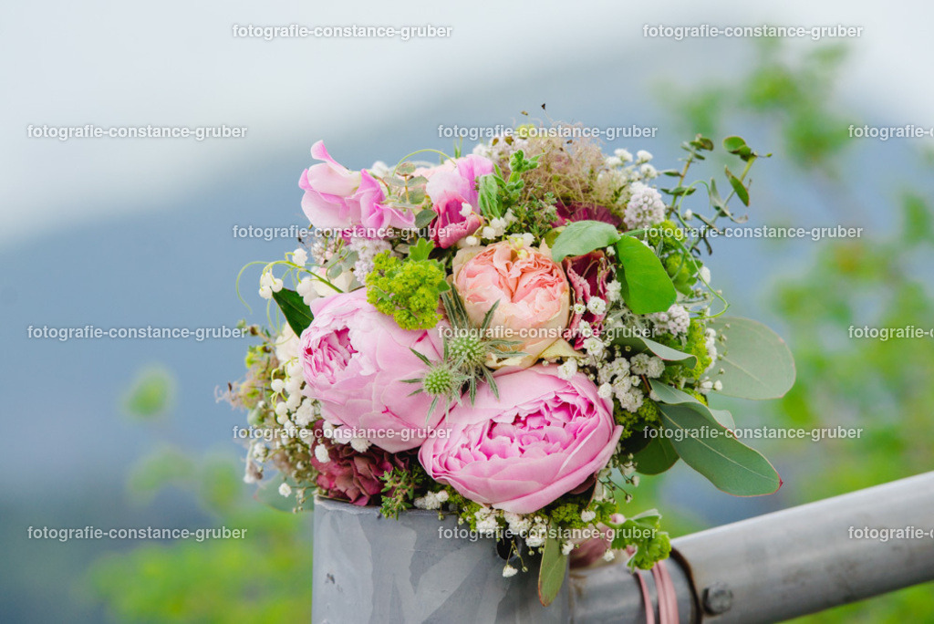 1017 | Fotografie Constance Gruber - Realisiert mit Pictrs.com