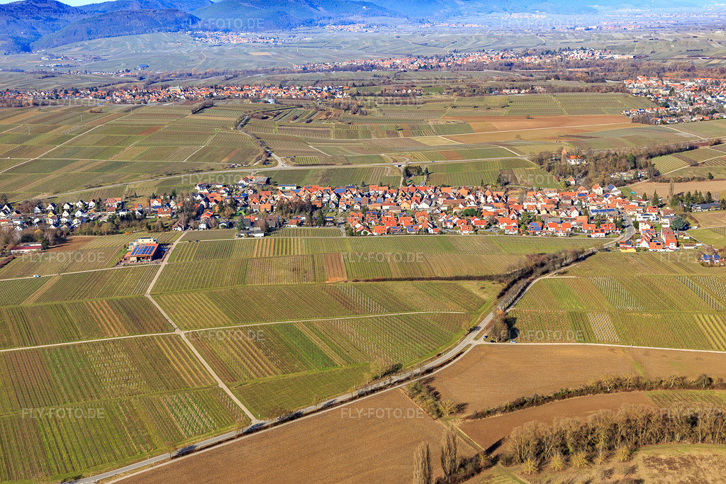 Luftbild: Dorfübersicht aus Süden im Ortsteil Wollmesheim in Landau im Bundesland Rheinland-Pfalz in Deutschland. Foto: IMG_125267.jpg vom 21.02.2021 durch Werner Riehm/FLY-FOTO.de