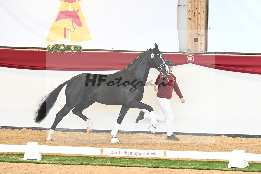 Kat.-Nr. 70 v. Totilas_Fischer_2241032 | hf-fotografie - Realisiert mit Pictrs.com