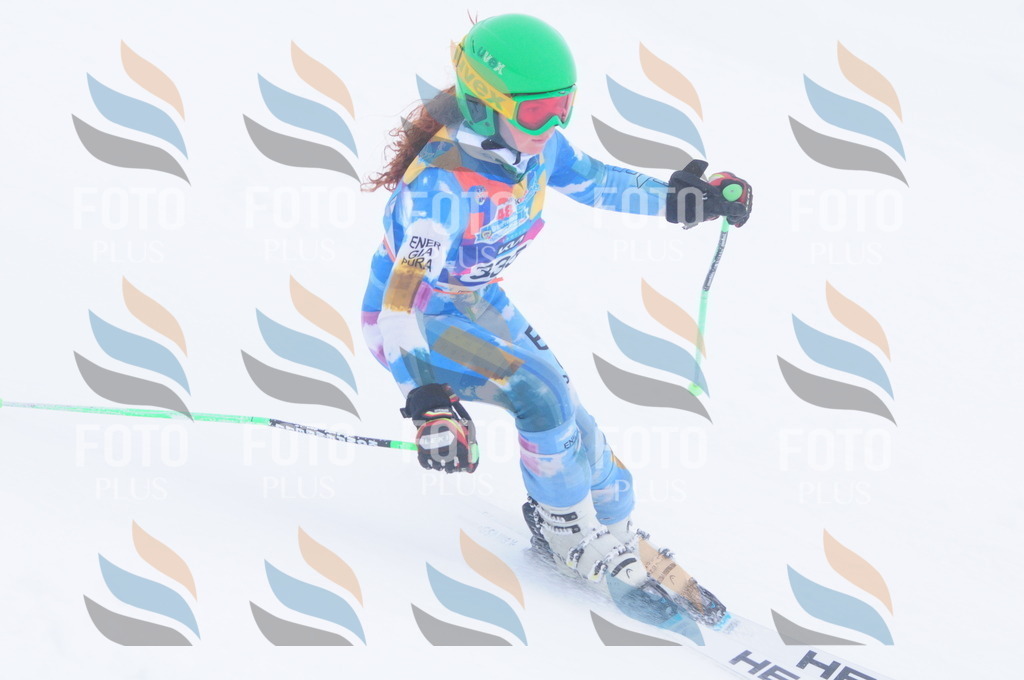 C3594 | holidayphoto