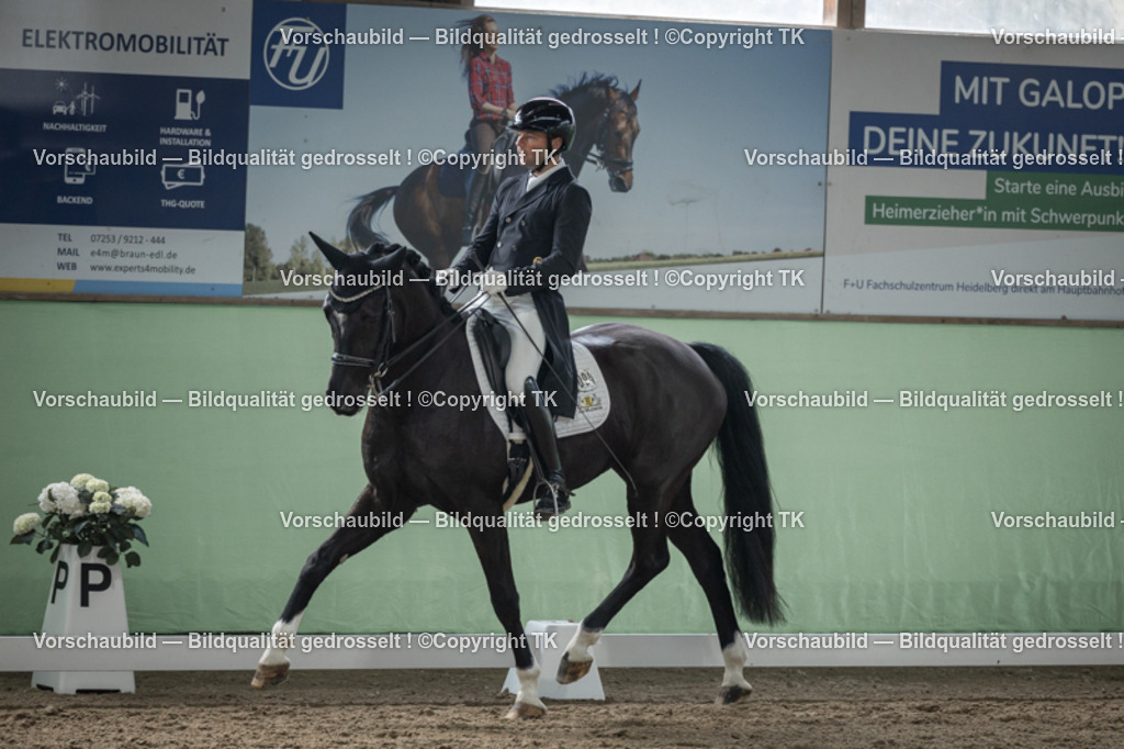 _D5A5109 | Emotionale Pferde- & People-Fotografie rund um Heidelberg, Leimen & Umgebung. Natürliche Fotos von Pferd, Mensch & Familie. Jetzt Termin sichern!