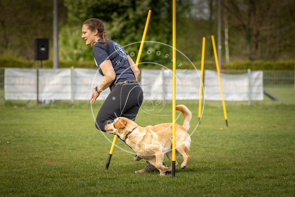 Pfotenfotografie_DV3A5130 | Hundefotografie, Tierfotograf, Pfotenfotografie, Fotoshooting Hund, Hunde Portrait, Hundesport, Hundeportraits, Heideshooting, Hunde, Sportfotograf, Hundefotograf, Turnierhundsport, THS,  - Realisiert mit Pictrs.com