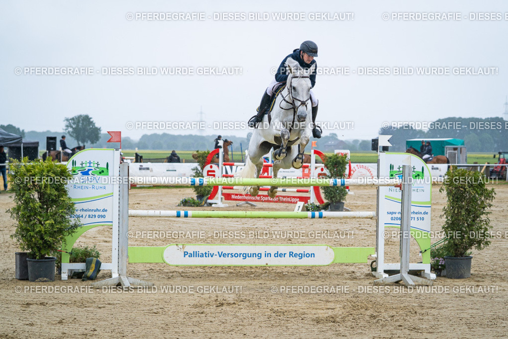 DSC09996 | Pferdegrafie