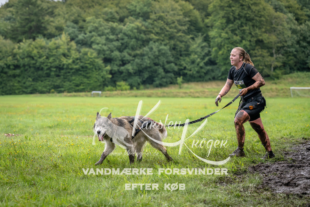 0955_ZZ91902 | kk-dogfotos