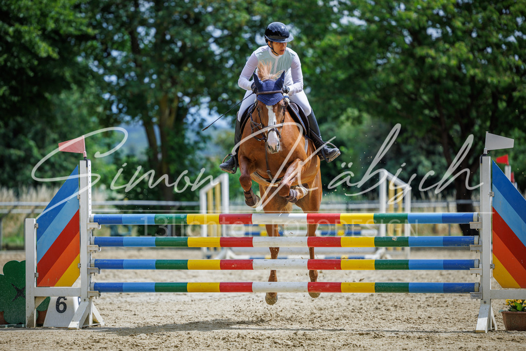 20260705-_3LI6129 | Tierfotografie Pferde, Hunde, Katzen, Haustiere.
Turnierfotografie Reitturniere, Reiten, Springreiten, Dressur in Hanau, dem Main-Kinzig-Kreis und dem Rhein-Main- Gebiet um Frankfurt