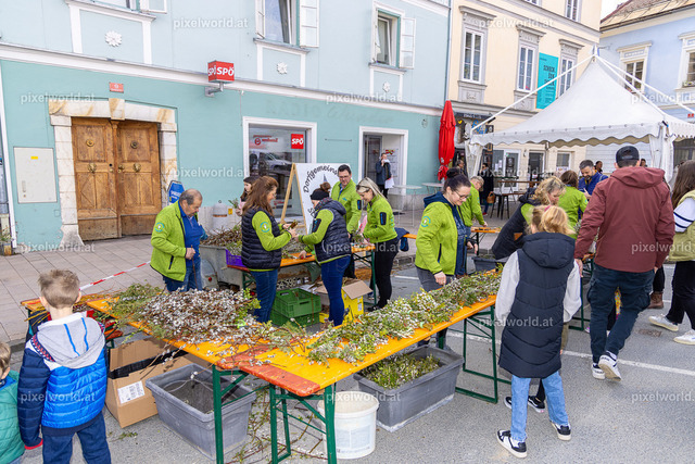 Palmbuschenbinden am Wochenmarkt mit der DG St. Martin | Bildershop von pixelworld.at - Realisiert mit Pictrs.com