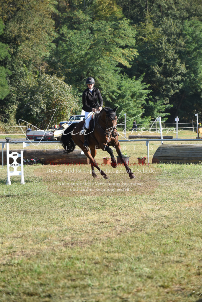 DSC_5195 | Pferde- und Turnierfotografie in Westsachsen. Pferdeportraits, Auftragszeichnungen und intuitive Kunst.