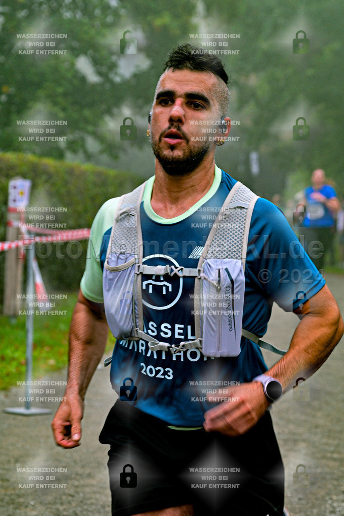 Z8N_1509 | la-psv - Realisiert mit Pictrs.com