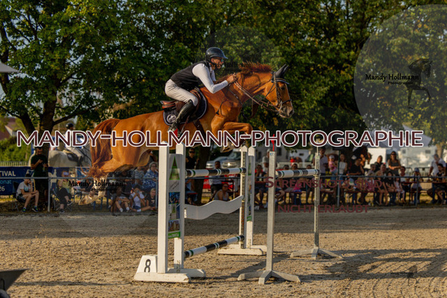 26-7-25 SPR S-31 | mandyhollmannphotographie