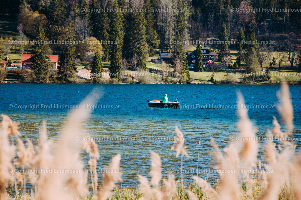 Fruehling im Mariazellerland 230402020-29234 | Fotos und Fotoprodukte - Realisiert mit Pictrs.com