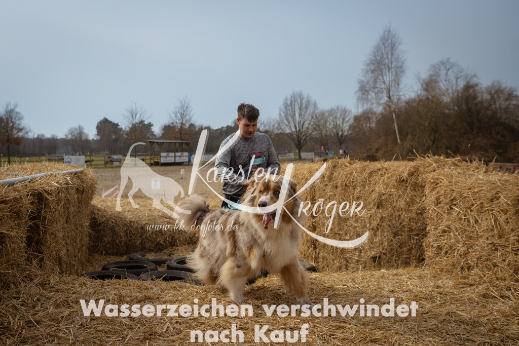 1128_ZZ93882 | kk-dogfotos