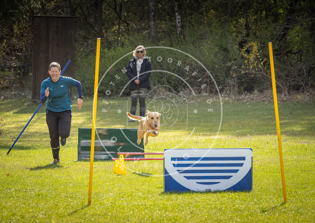 Pfotenfotografie_DV3A2735 | Hundefotografie, Tierfotograf, Pfotenfotografie, Fotoshooting Hund, Hunde Portrait, Hundesport, Hundeportraits, Heideshooting, Hunde, Sportfotograf, Hundefotograf, Turnierhundsport, THS,  - Realisiert mit Pictrs.com