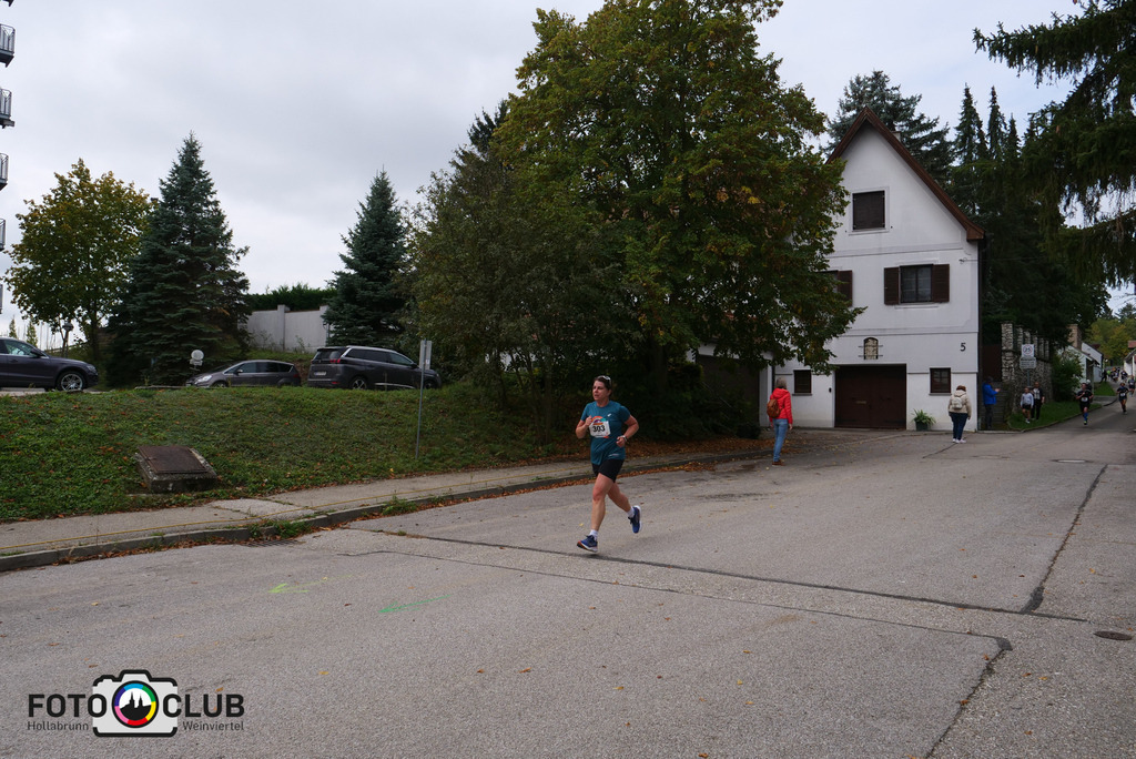 P1017278 | Foto Buchgraber