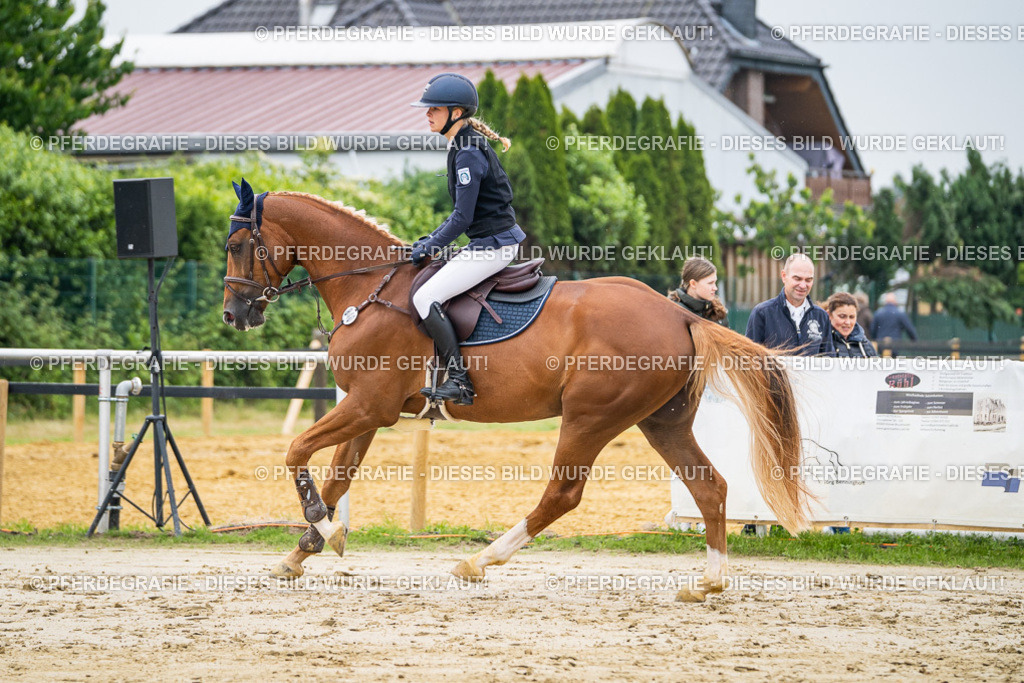 DSC00434 | Pferdegrafie