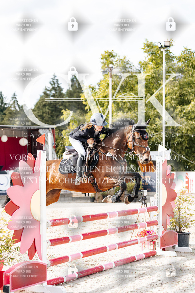CK903078 | Turnierfotografie Pferdefotografie Trier Rheinland-Pfalz Pferdesport Reitsport Tierfotografie Sportfotografie Pferdevideo Pferdevideografie Equestrianvideography equestrianphotography  - Realisiert mit Pictrs.com