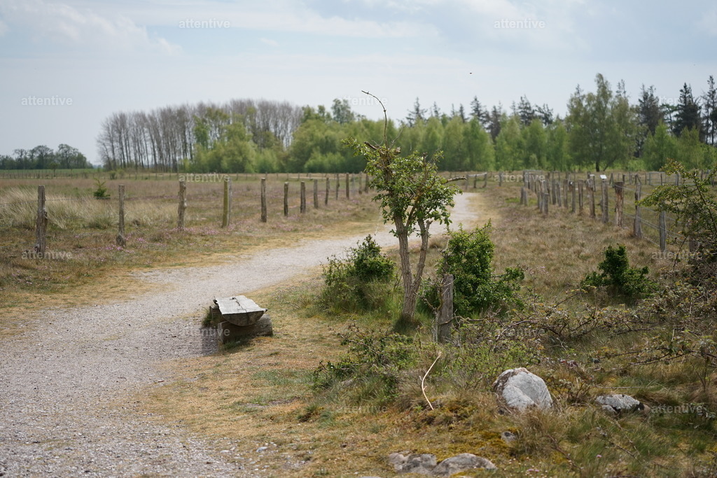 Innehalten | Naturschutzgebiet Westermarkelsdorfer Huk, Fehmarn, Deutschland - Realisiert mit Pictrs.com