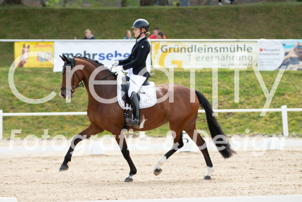 IMG_0591 | Creatify Fotografie